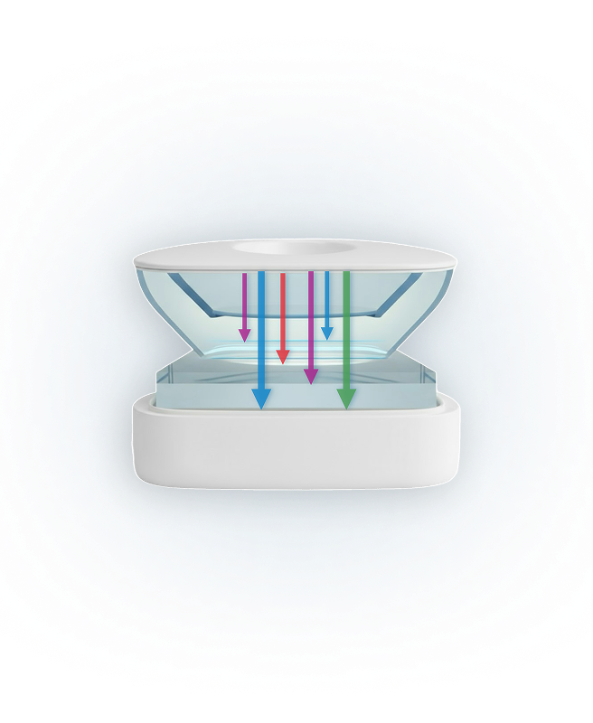 RVF test image