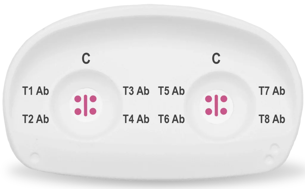 t1 t8 ab