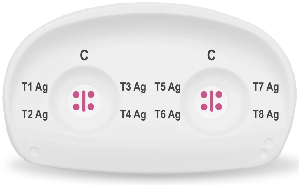 t1 t8 ag