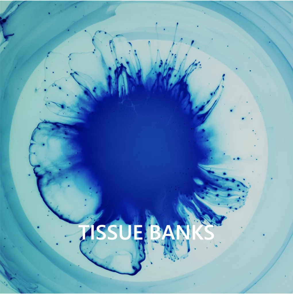 tissue-1