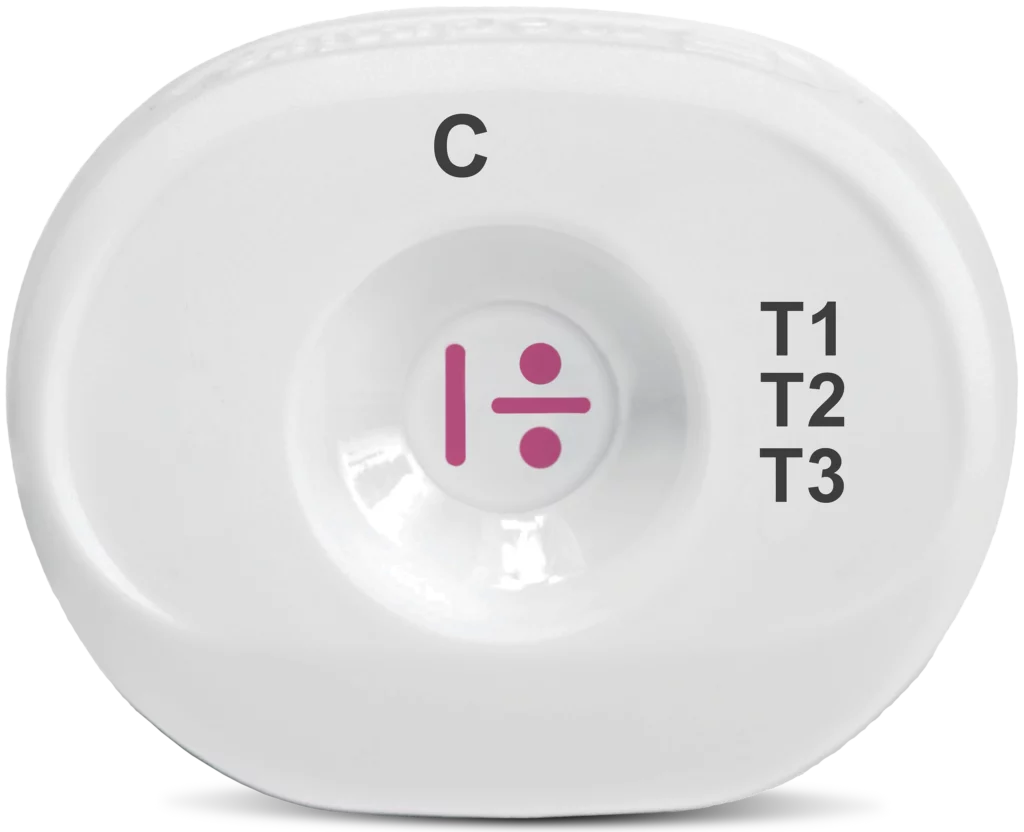 T1 T2 T3