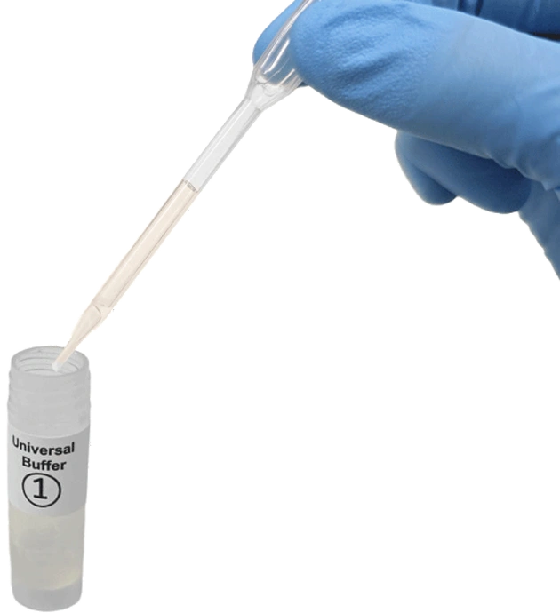 medduo2